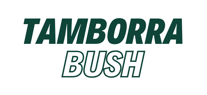 Bush
